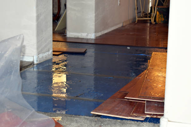 Professional Water Extraction technician working in Fountain, MI